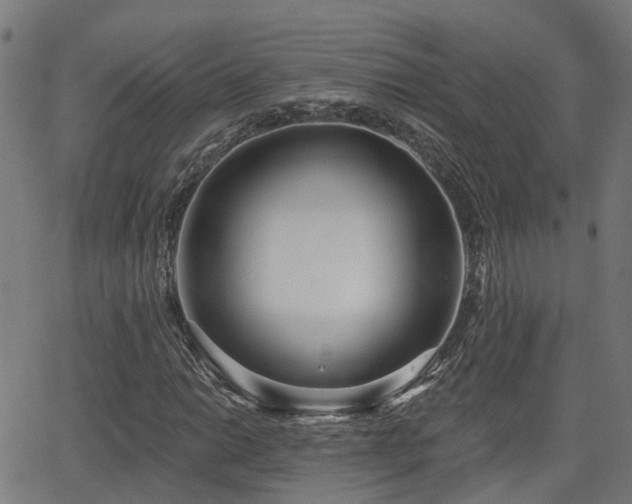 X0000062911014200601181214