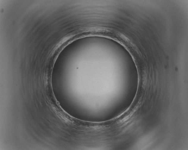 X0000062911017200601181214