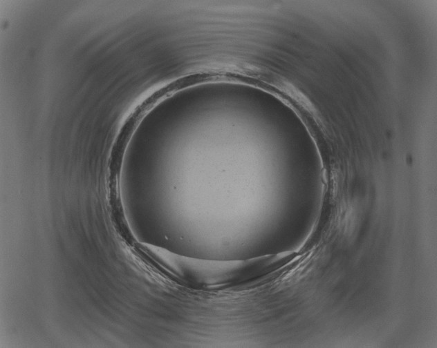 X0000062911020200601181214