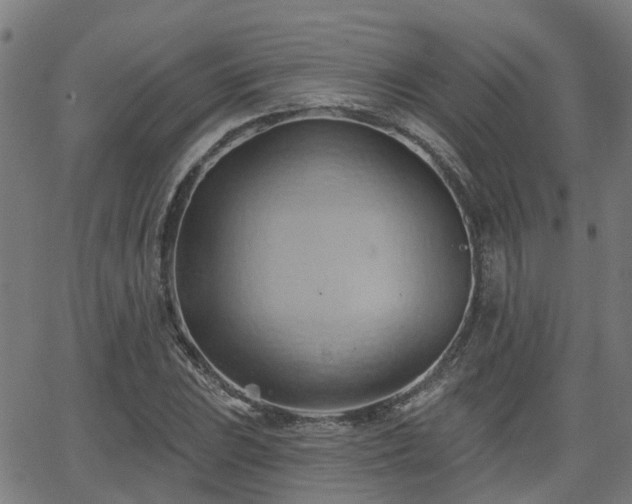 X0000062911023200601181214