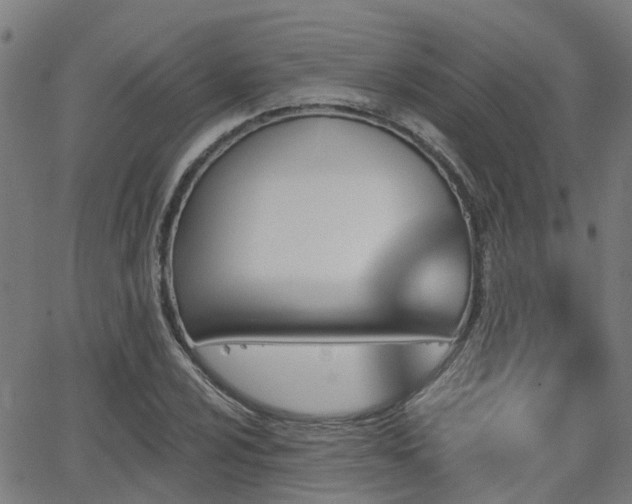 X0000062911024200601181214