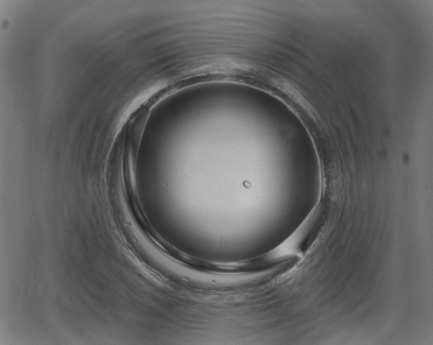 X0000062911026200601181214