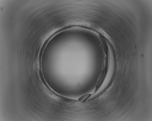 X0000062911028200601181214