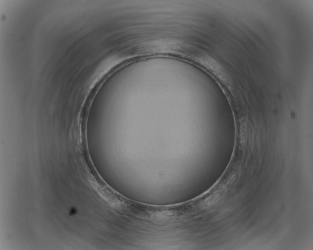 X0000062911031200601181214