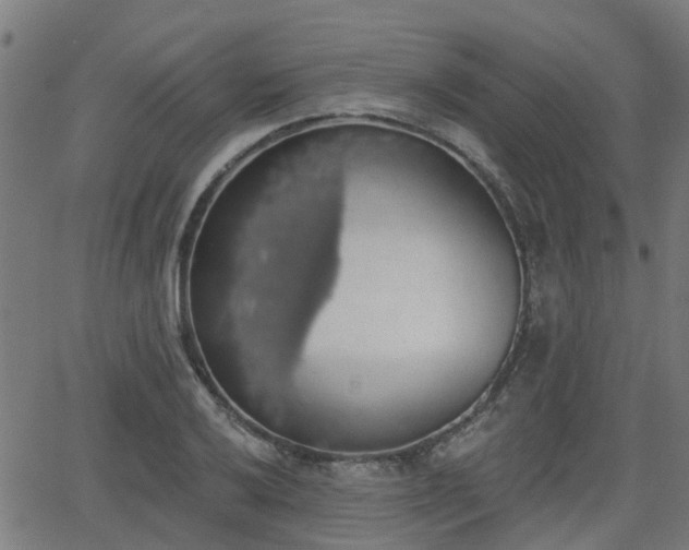 X0000062911032200601181214