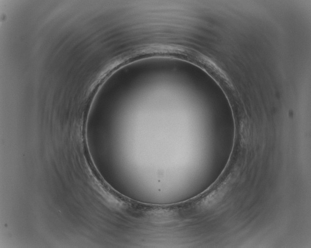 X0000062911033200601181214