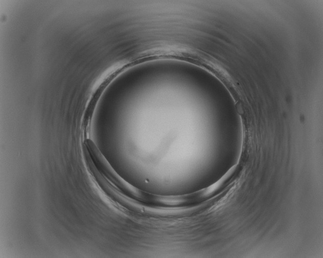 X0000062911034200601181214