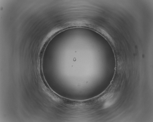 X0000062911035200601181214