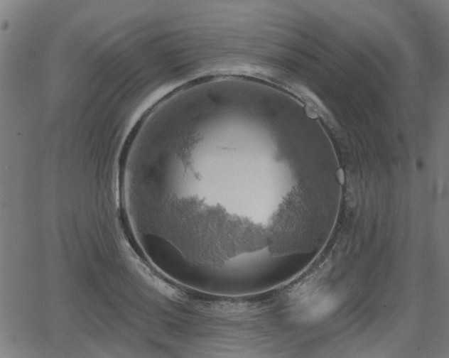 X0000062911036200601181214