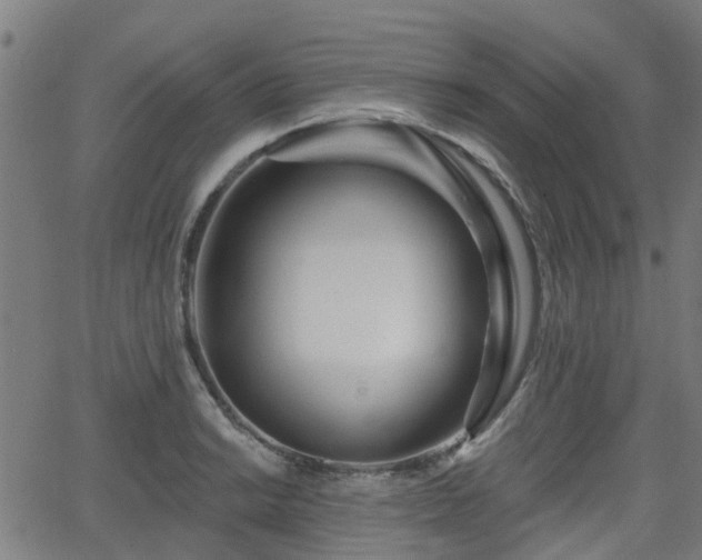 X0000062911038200601181214