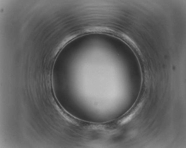 X0000062911041200601181214