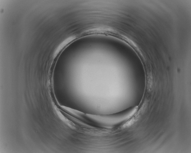 X0000062911042200601181214