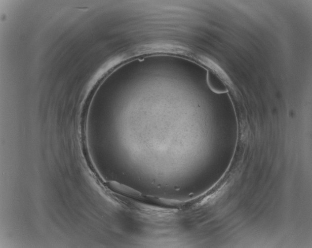 X0000062911043200601181214