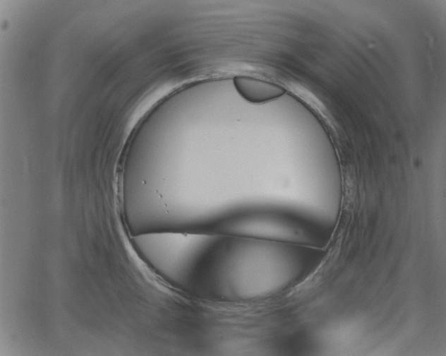 X0000062911047200601181214