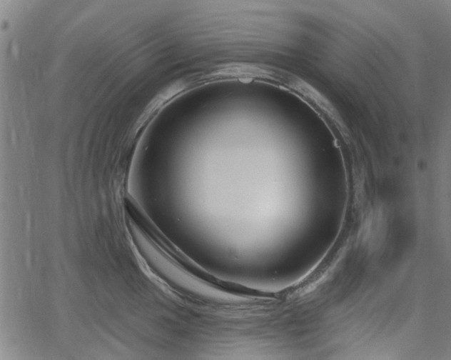 X0000062911049200601181214