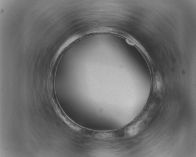 X0000062911053200601181214