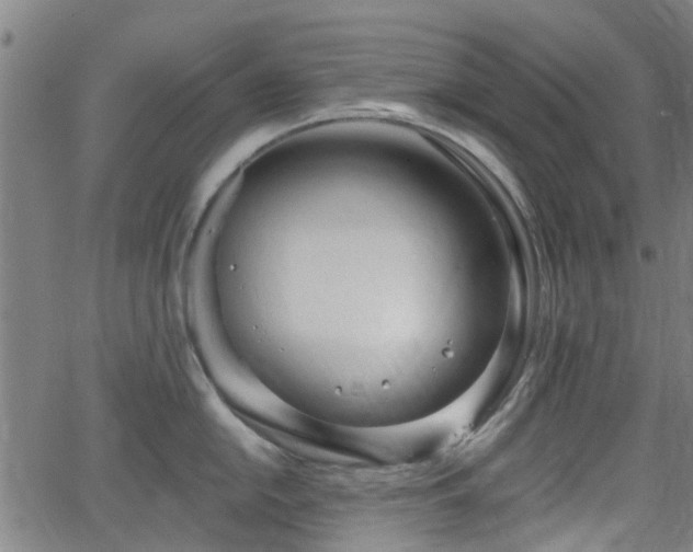 X0000062911054200601181214