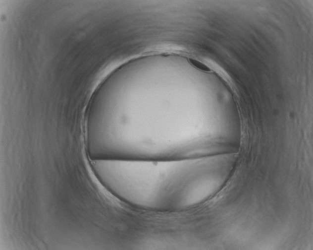 X0000062911055200601181214