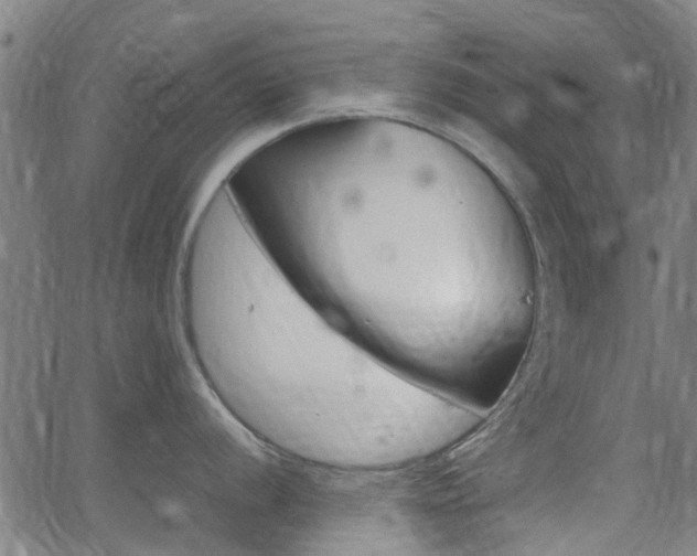 X0000062911056200601181214