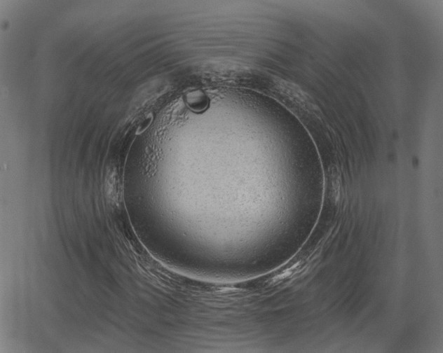 X0000062911060200601181214