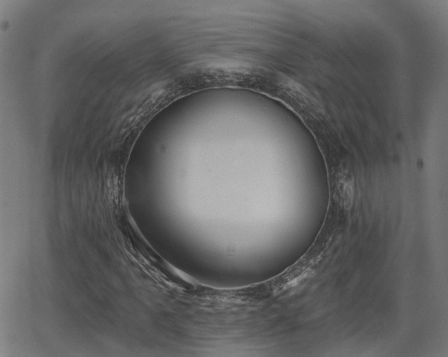 X0000062911061200601181214