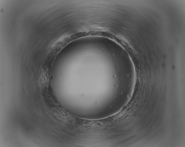 X0000062911063200601181214