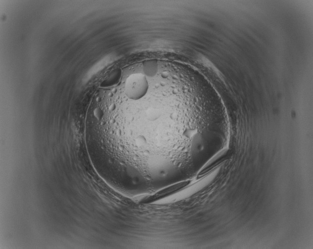 X0000062911064200601181213