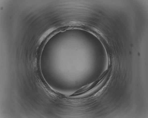 X0000062911066200601181213