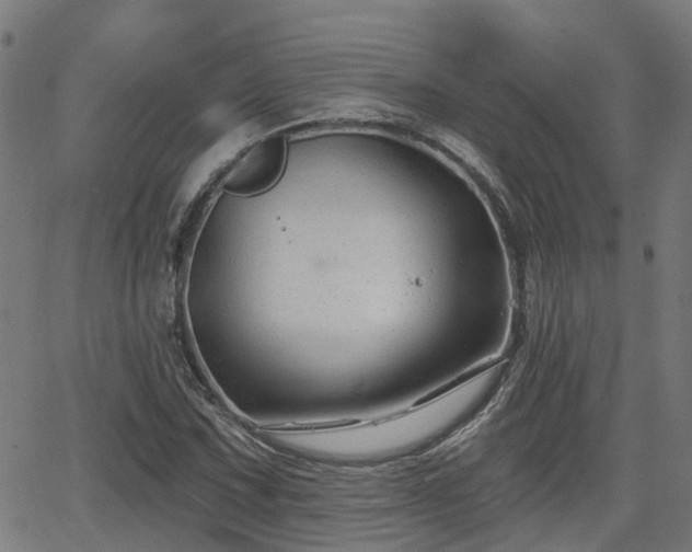 X0000062911067200601181213