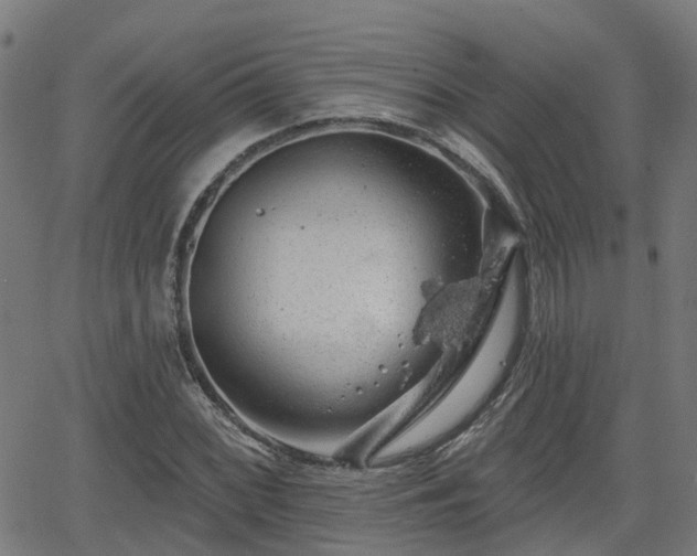 X0000062911068200601181213