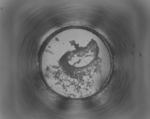 X0000062911070200601181213