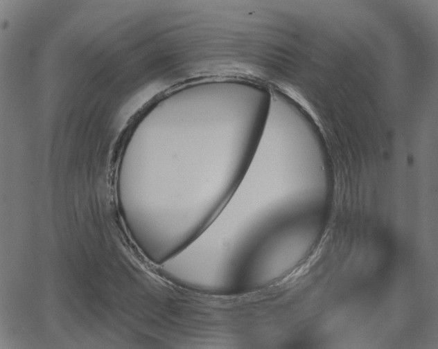 X0000062911071200601181213