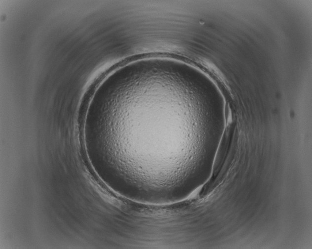 X0000062911072200601181213