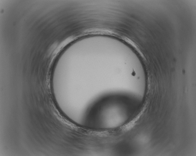 X0000062911074200601181213