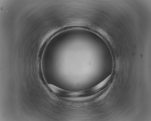 X0000062911077200601181213