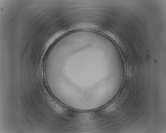 X0000062911078200601181213