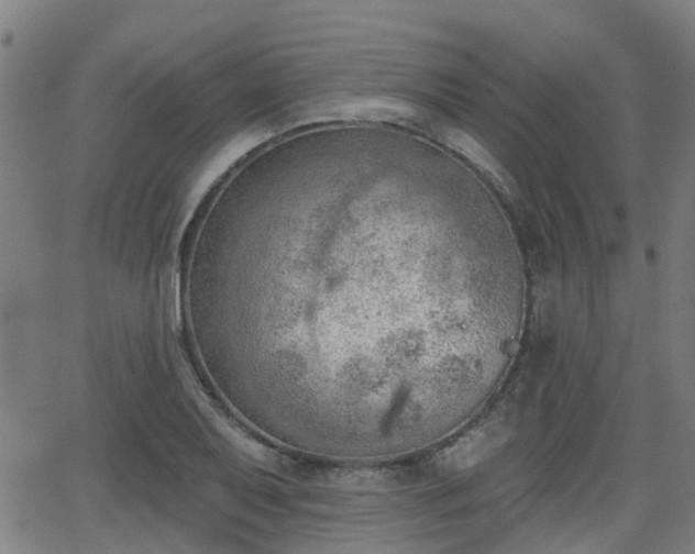 X0000062911079200601181213