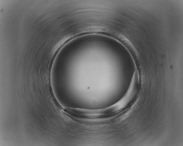 X0000062911081200601181213