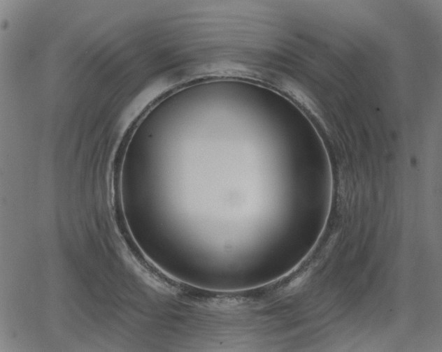 X0000062911082200601181213