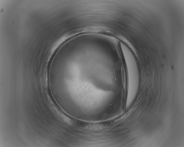 X0000062911083200601181213