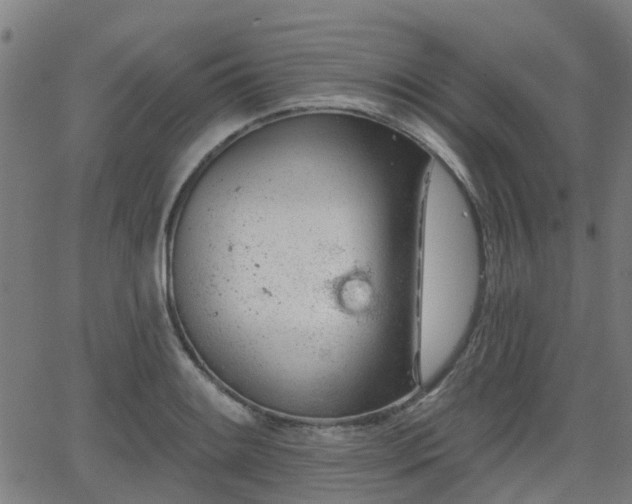 X0000062911084200601181213