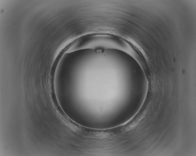 X0000062911085200601181213