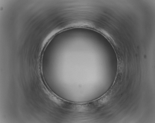 X0000062911086200601181213