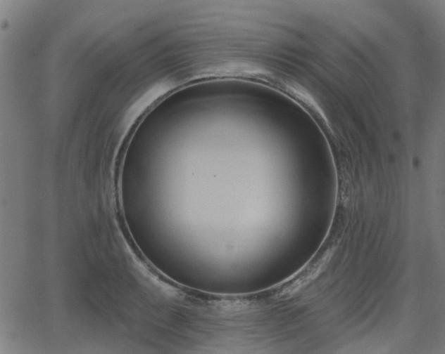 X0000062911087200601181213