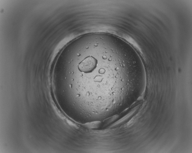 X0000062911088200601181213