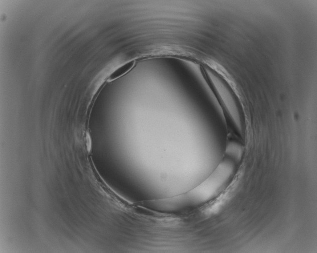 X0000062911089200601181213