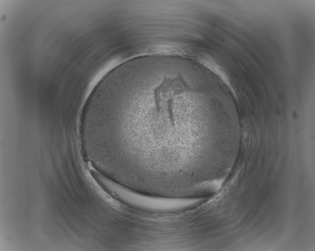 X0000062911091200601181213