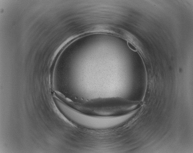 X0000062911092200601181213