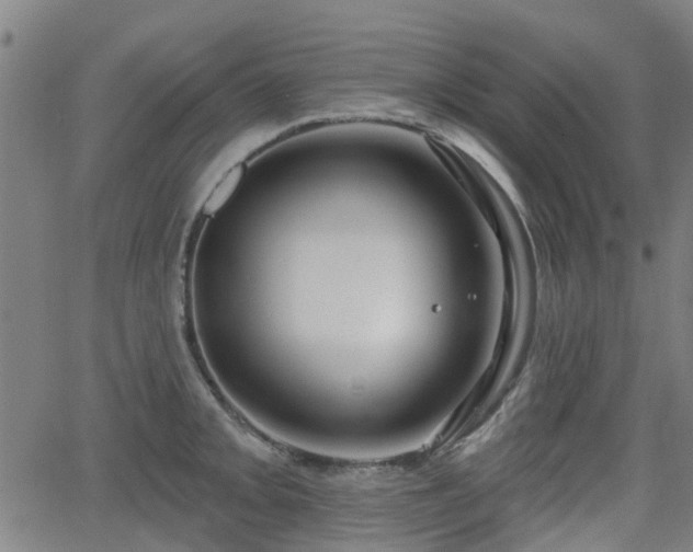 X0000062911093200601181213