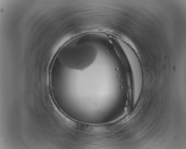 X0000062911095200601181213